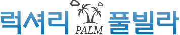 Palm Ǯ